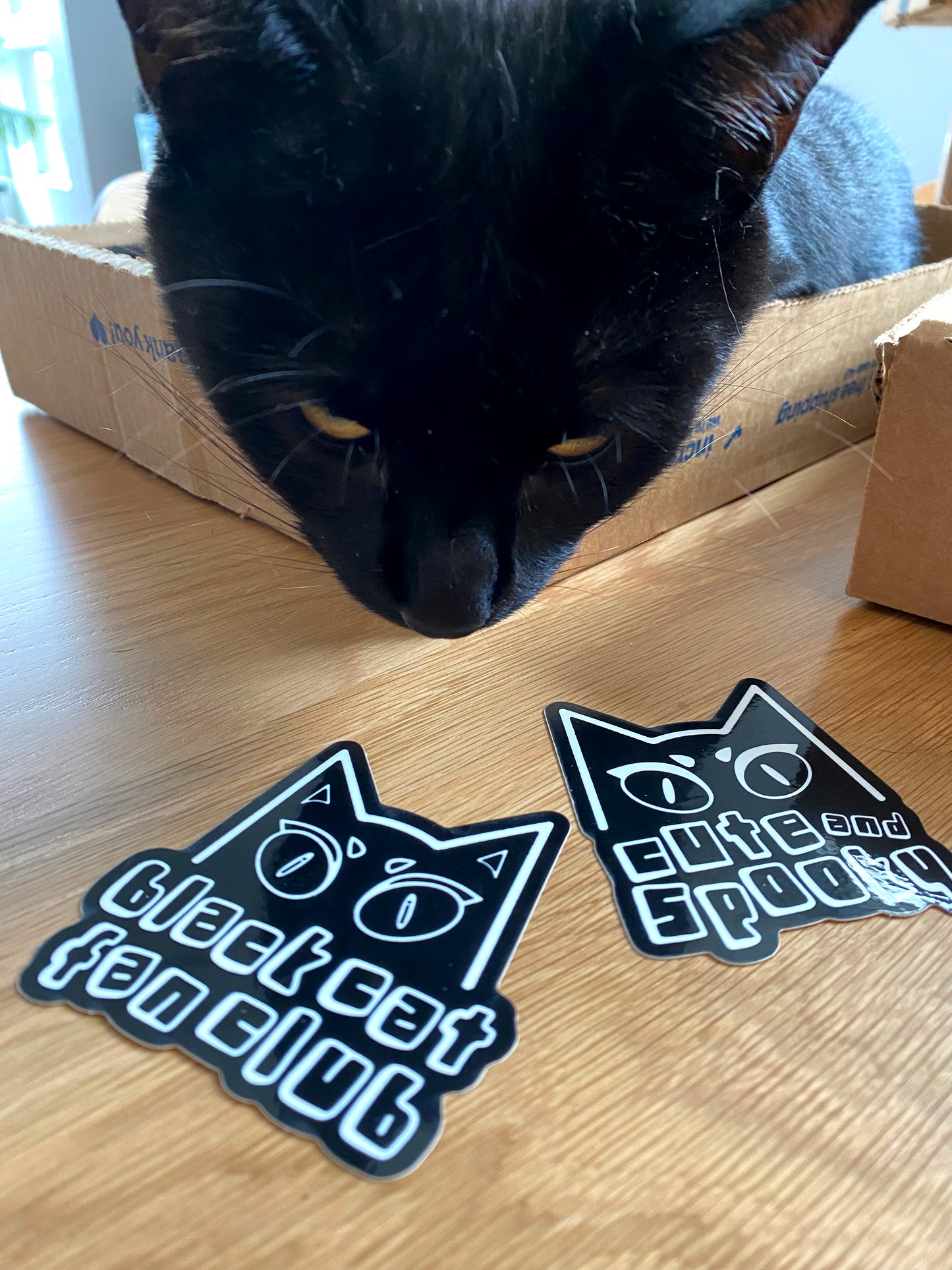 Cute and Spooky Cat Vinyl Sticker
